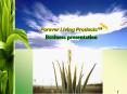 Forever Living Products PowerPoint PPT Presentation