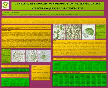 Prezentacja programu PowerPoint