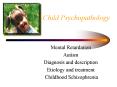 Child Psychopathology PowerPoint PPT Presentation