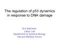 The regulation of p53 dynamics in response to DNA damage PowerPoint PPT Presentation