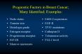 Prognostic Factors in Breast Cancer; Many Identified; Examples: PowerPoint PPT Presentation