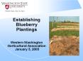Establishing Blueberry Plantings Western Washington Horticultural Association January 5, 2005 PowerPoint PPT Presentation