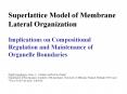 Superlattice Model of Membrane Lateral Organization  Implications on Compositional Regulation and Maintenance of Organelle Boundaries  Pentti Somerharju, Jorma A. Virtanen and Kelvin Cheng*. Department of Biochemistry, Institute of Biomedicine, PowerPoint PPT Presentation