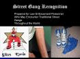 Street Gang Recognition