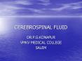 CEREBROSPINAL FLUID PowerPoint PPT Presentation