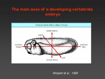 Wolpert et al., 1998