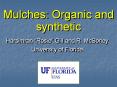 Mulches: Organic and synthetic PowerPoint PPT Presentation
