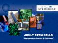 ADULT STEM CELLS Therapeutic Advances PowerPoint PPT Presentation