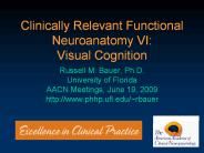 Clinically Relevant Functional Neuroanatomy VI:  Visual Cognition