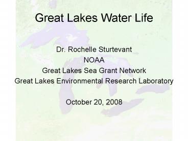 Great Lakes Water Life