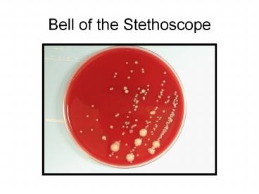 Bell of the Stethoscope