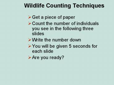Wildlife Counting Techniques