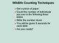 Wildlife Counting Techniques PowerPoint PPT Presentation