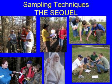 Sampling Techniques THE SEQUEL