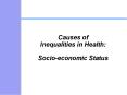 Causes of Inequalities in Health: Socio-economic Status PowerPoint PPT Presentation