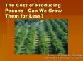 The Cost of Producing PecansCan We Grow Them for Less PowerPoint PPT Presentation