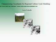 Characterizing Uncertainty for Regional Carbon Cycle Modeling