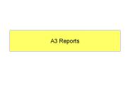 A3 Reports