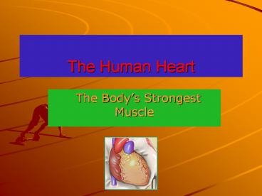 The Human Heart
