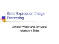 Gene Expression Image Processing PowerPoint PPT Presentation