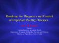 Roadmap for Diagnosis and Control of Important Poultry Diseases PowerPoint PPT Presentation