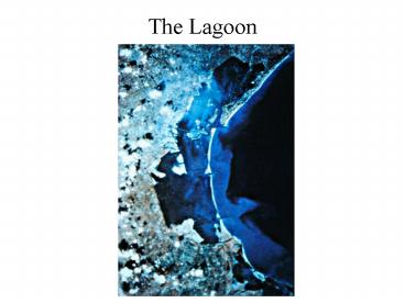 The Lagoon