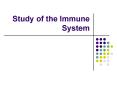 Study of the Immune System PowerPoint PPT Presentation