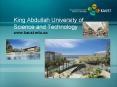 King Abdullah University of Science and Technology www.kaust.edu.sa PowerPoint PPT Presentation