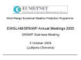 EWGLAMSRNWP Annual Meetings 2005 SRNWP Business Meeting PowerPoint PPT Presentation