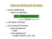 Internet Multicast Routing