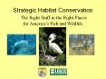Strategic Habitat Conservation The Right Stuff in the Right Places for America PowerPoint PPT Presentation