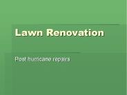 Lawn Renovation