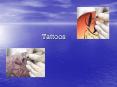 Tattoos PowerPoint PPT Presentation