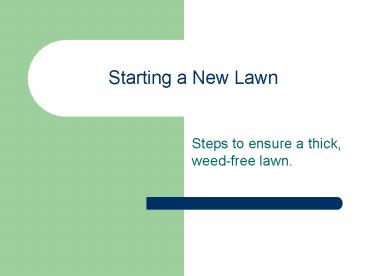 Starting a New Lawn