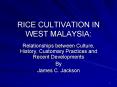 RICE CULTIVATION IN WEST MALAYSIA: PowerPoint PPT Presentation