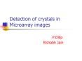 Detection of crystals in Microarray images PowerPoint PPT Presentation
