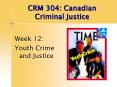 CRM 304: Canadian Criminal Justice PowerPoint PPT Presentation