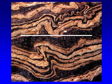 1. : Synform Antiform,