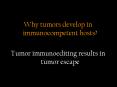 Why tumors develop in immunocompetent hosts PowerPoint PPT Presentation