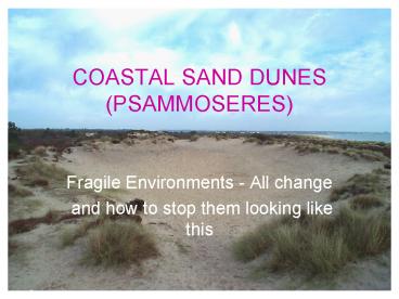 COASTAL SAND DUNES PSAMMOSERES