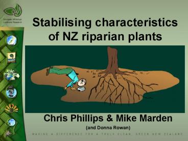 Stabilising characteristics of NZ riparian plants