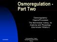 Osmoregulation Part Two PowerPoint PPT Presentation