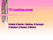 TT2 working group