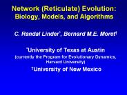 Network (Reticulate) Evolution: Biology, Models, and Algorithms
