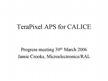 TeraPixel APS for CALICE