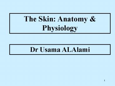 The Skin: Anatomy