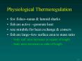 Physiological Thermoregulation PowerPoint PPT Presentation
