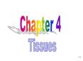 Tissues PowerPoint PPT Presentation