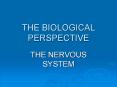 THE BIOLOGICAL PERSPECTIVE PowerPoint PPT Presentation