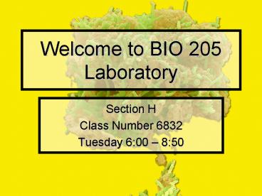 Welcome to BIO 205 Laboratory
